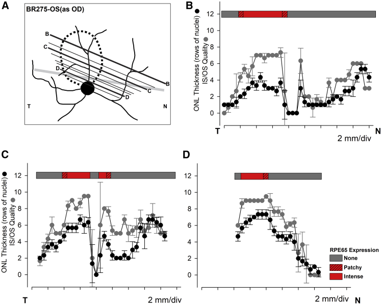 Figure 5