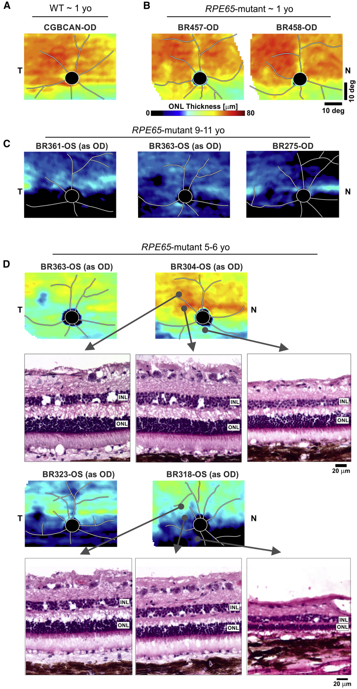 Figure 2