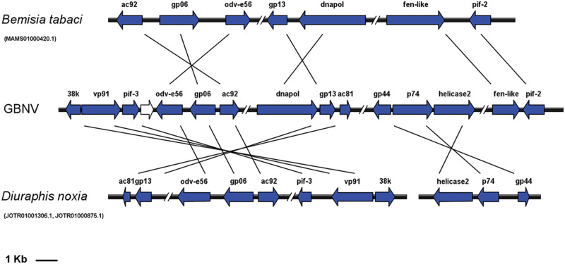 Fig. 2.