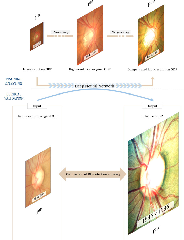 Fig 1