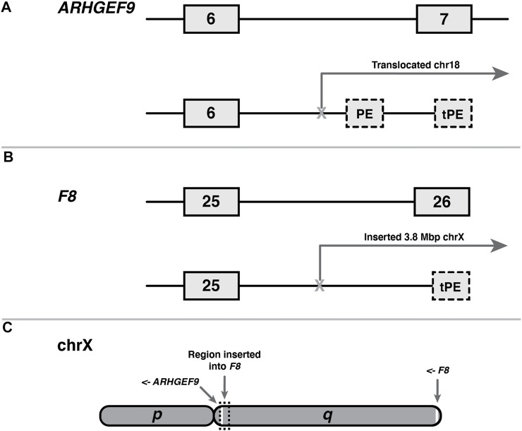 FIGURE 3