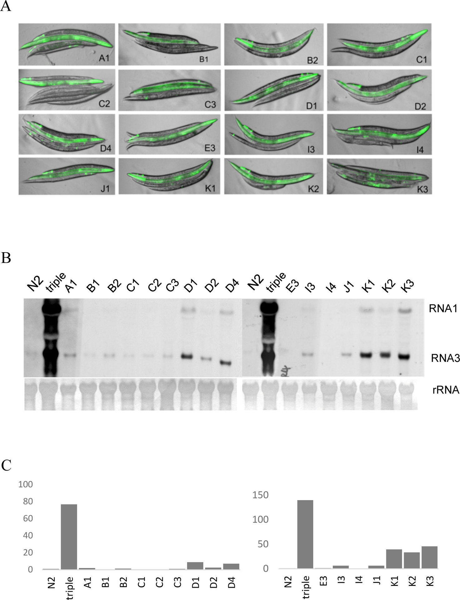 Figure 3.