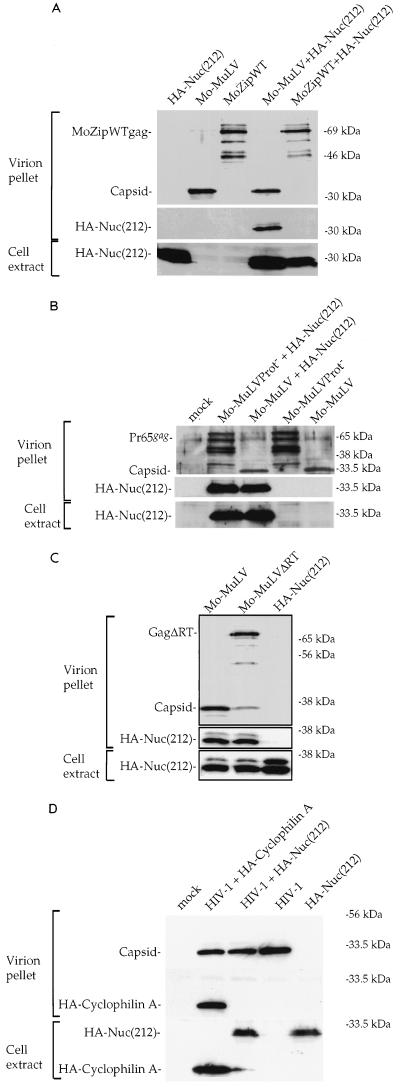 FIG. 4