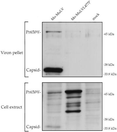 FIG. 8