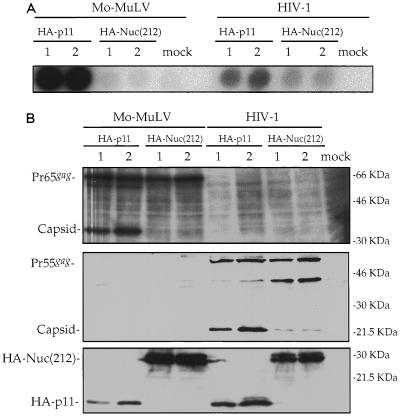 FIG. 7