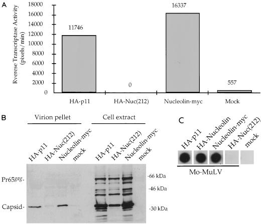 FIG. 6