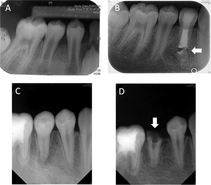 Fig. 2