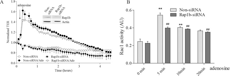 Figure 7.