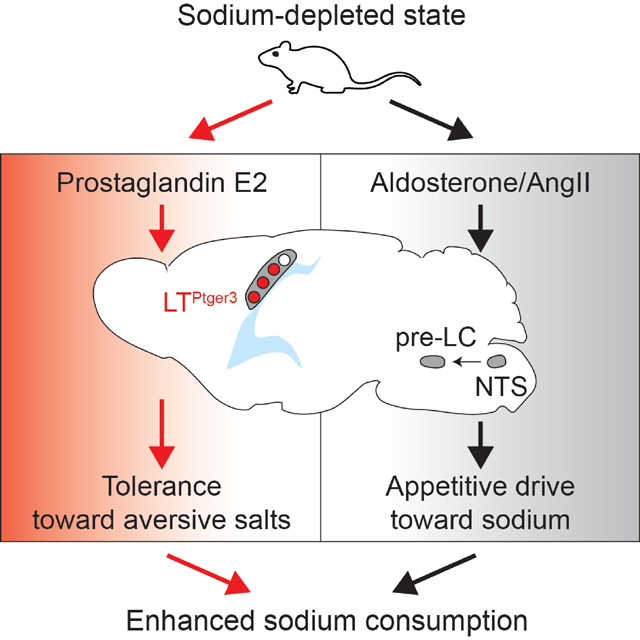 graphic file with name nihms-1943313-f0008.jpg