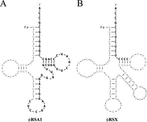 FIG. 6.