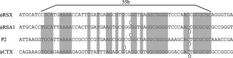 FIG. 5.