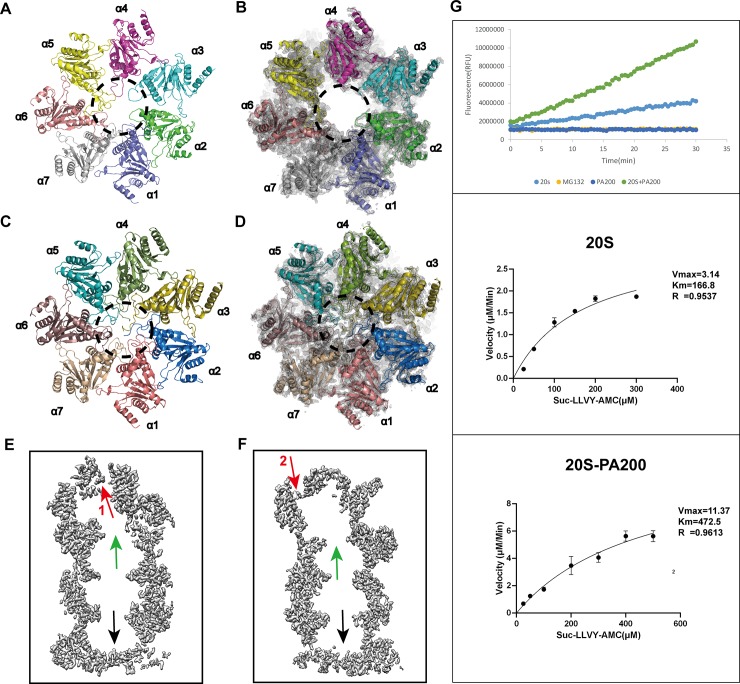 Fig 3