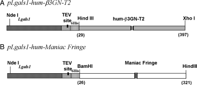 Fig. 3.