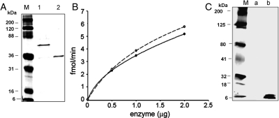 Fig. 5.