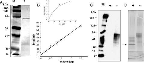 Fig. 4.