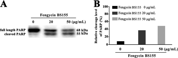 FIG 8