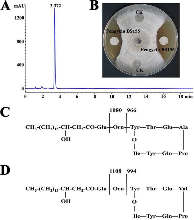 FIG 1