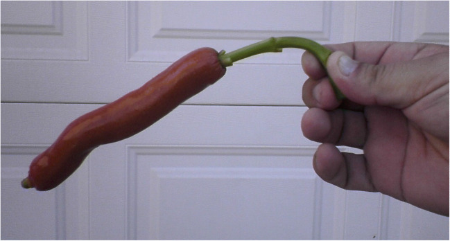 Fig. 3