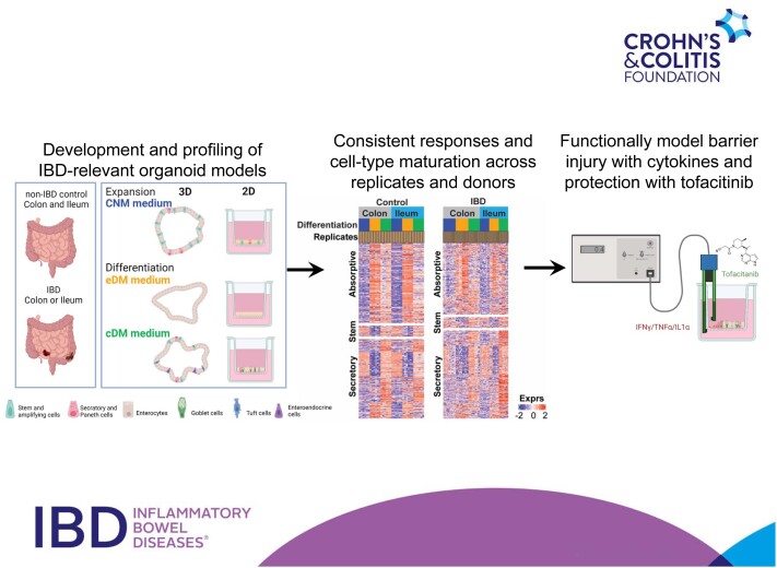 Graphical Abstract