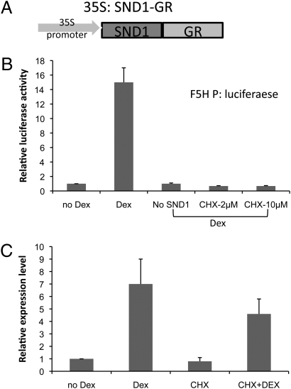 Fig. 4.