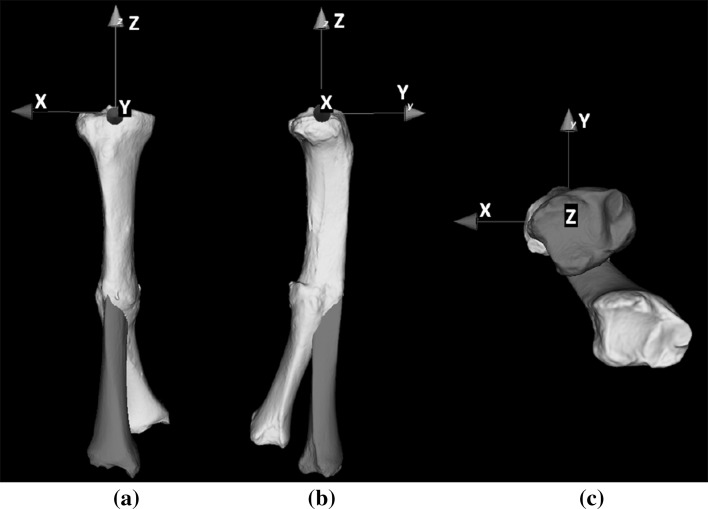 Fig. 2