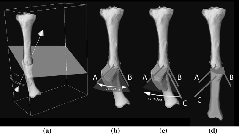 Fig. 3