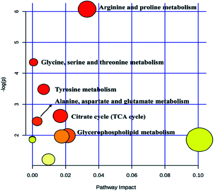 Fig. 7