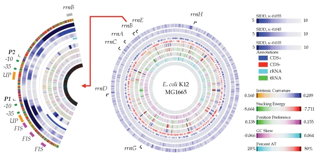 Figure 7