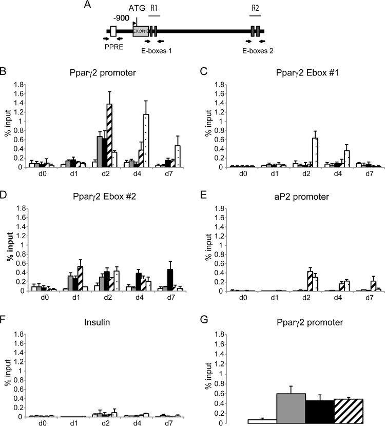 FIG 11