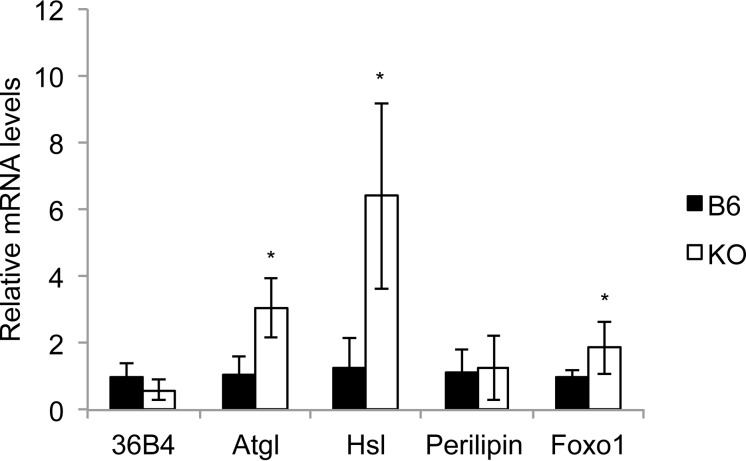 FIG 13