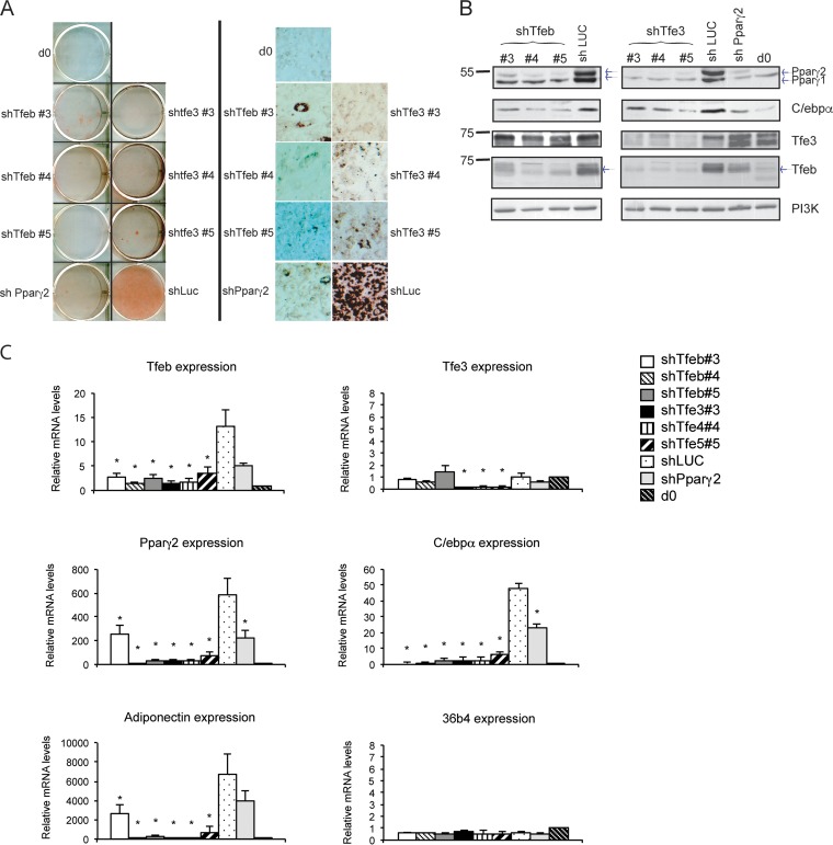 FIG 4