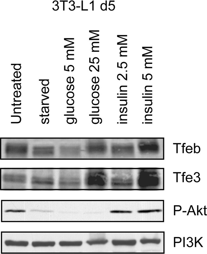 FIG 14