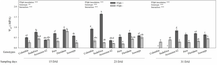 FIGURE 6