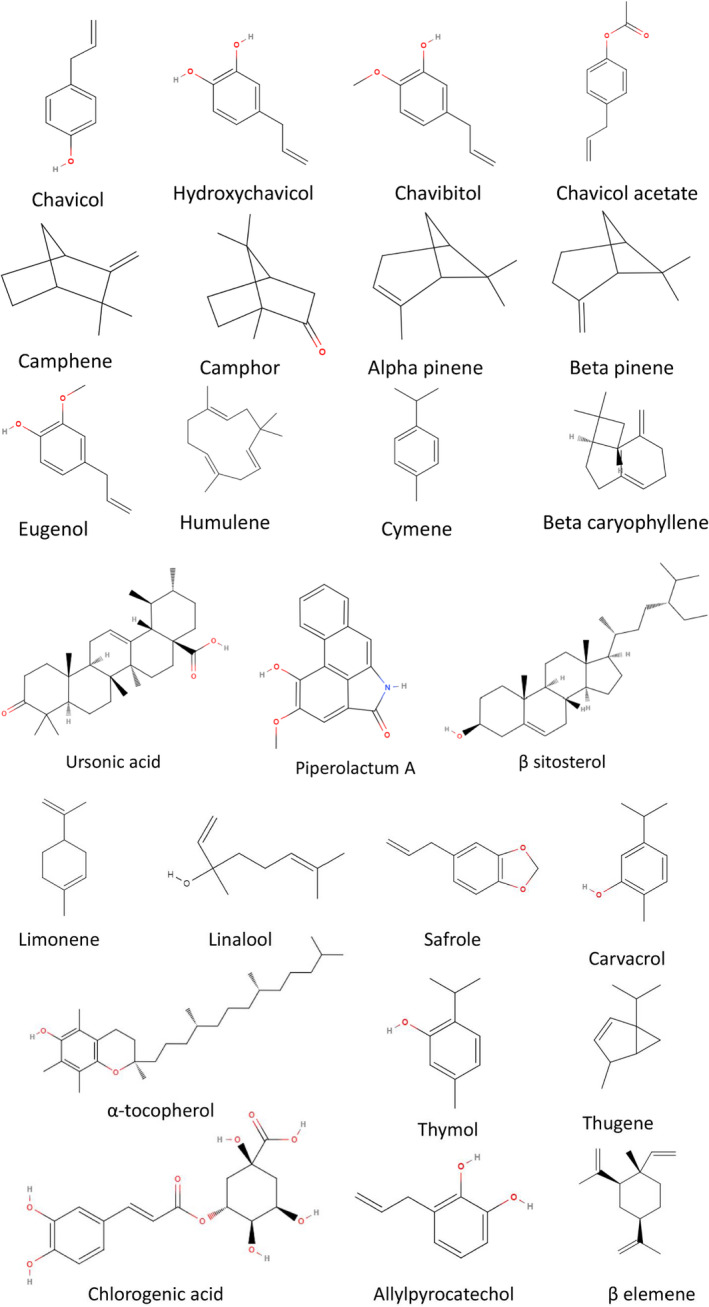 FIGURE 3