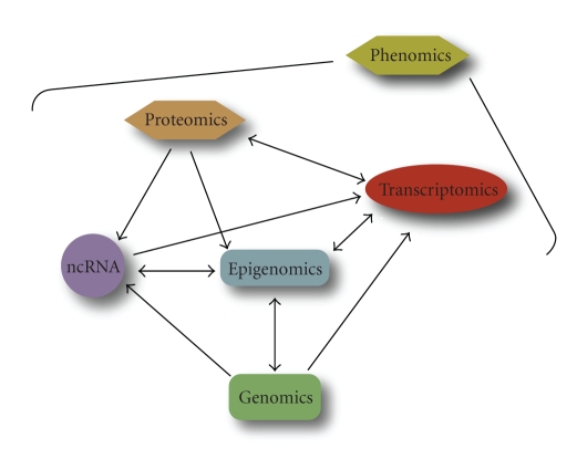 Figure 7