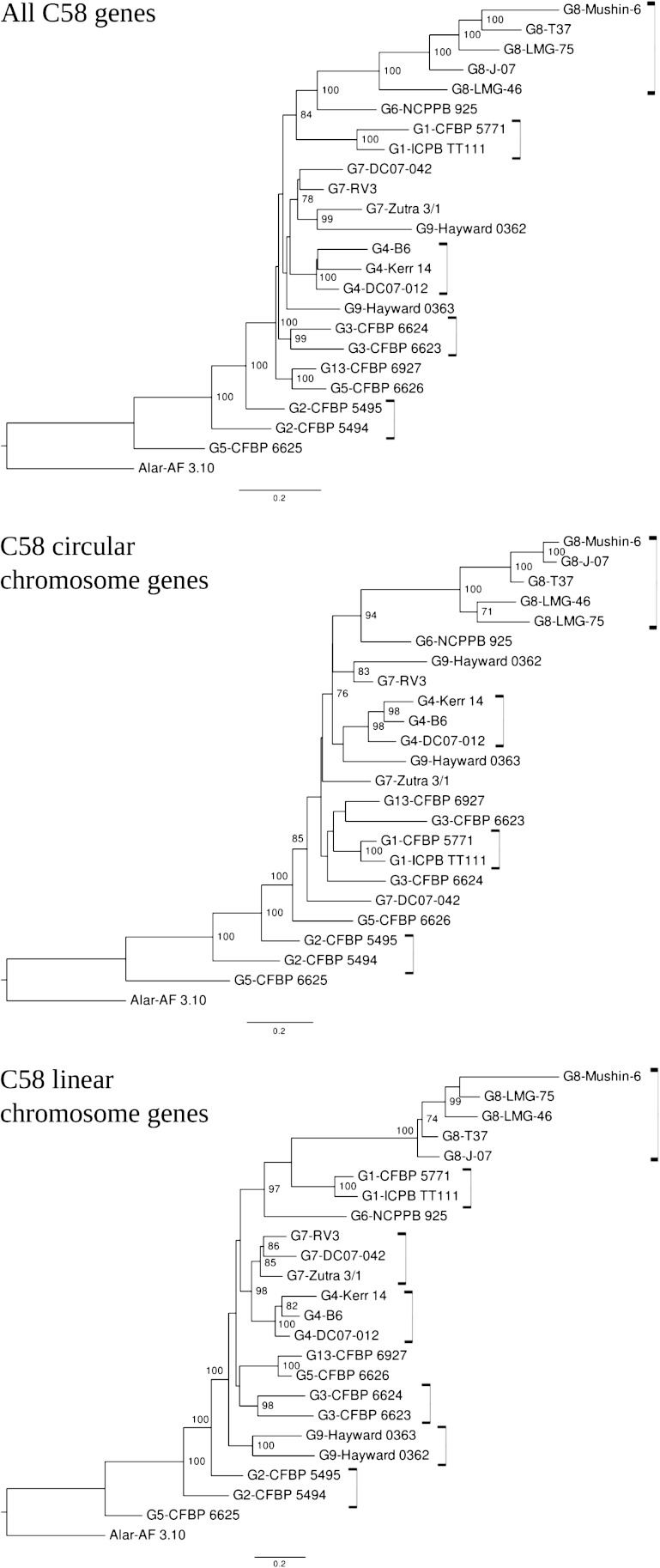 FIG. 2.—