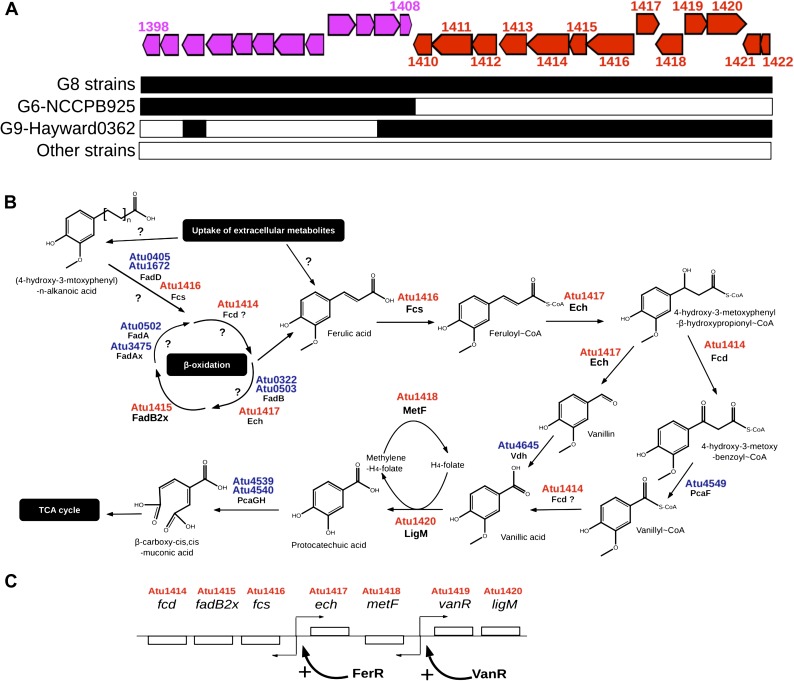 FIG. 6.—