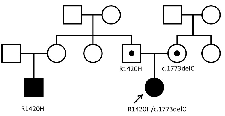 Fig. 2