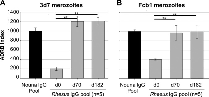 FIG 6