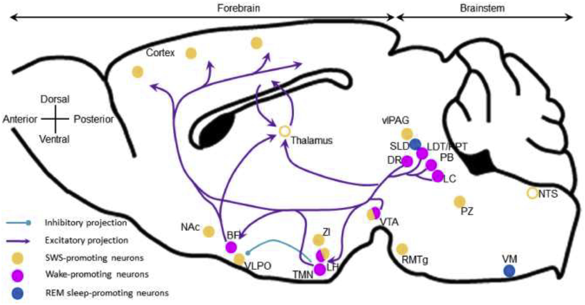 Figure 1: