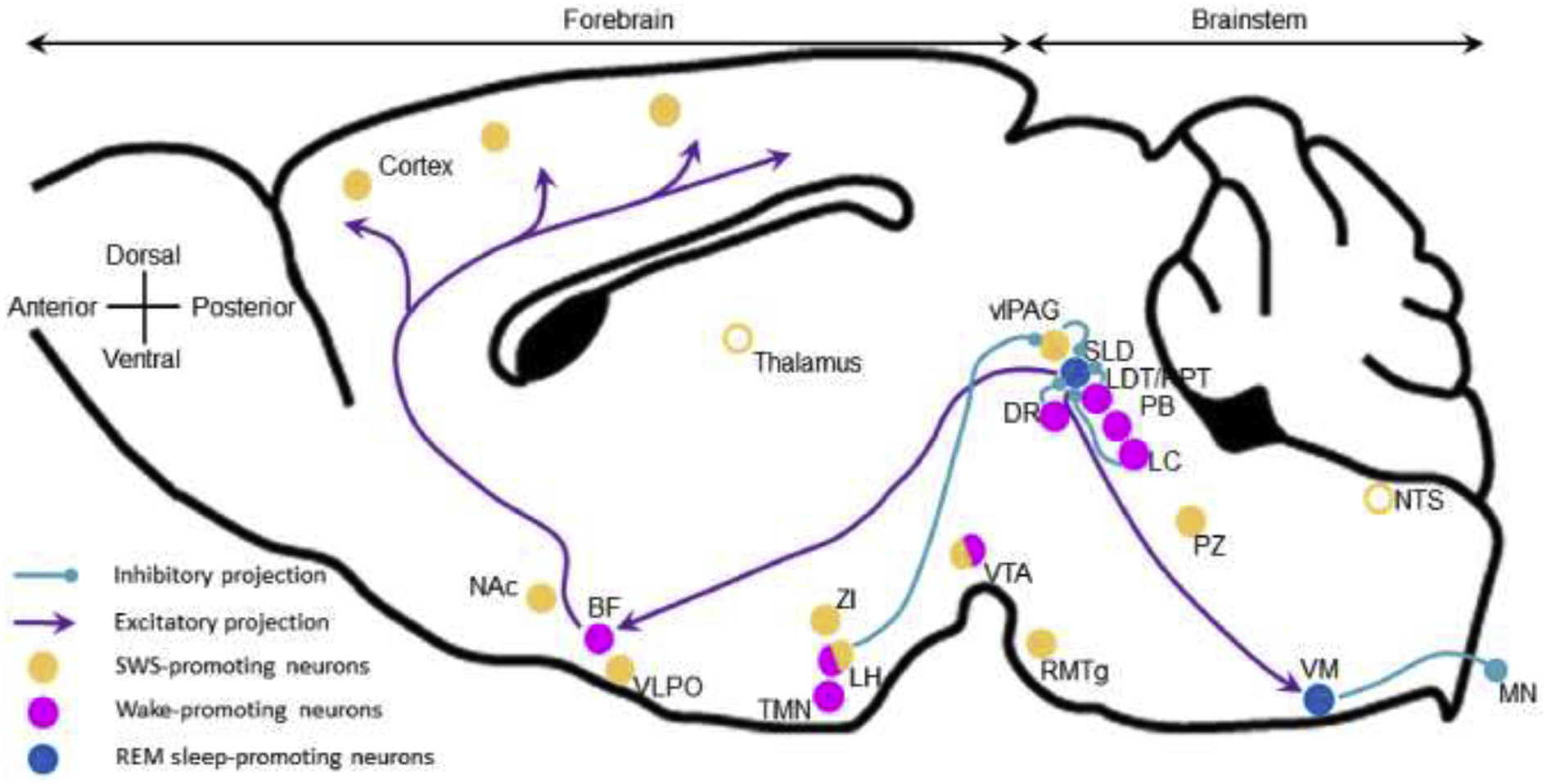 Figure 4: