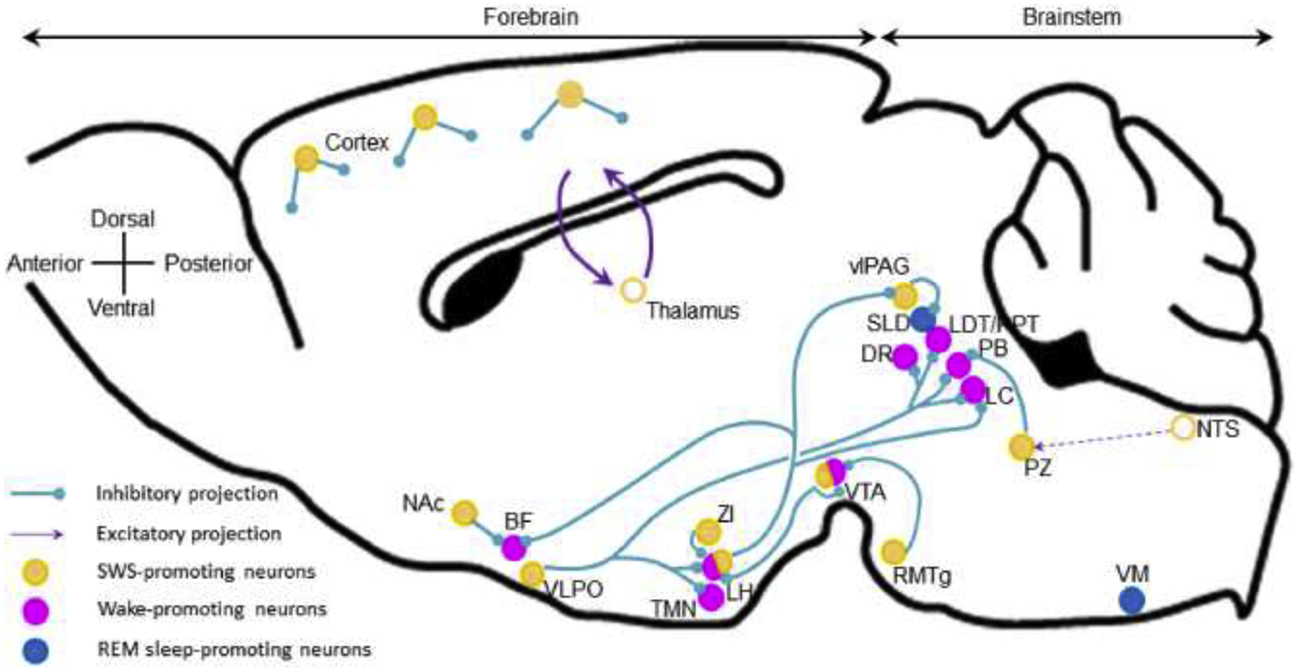 Figure 2: