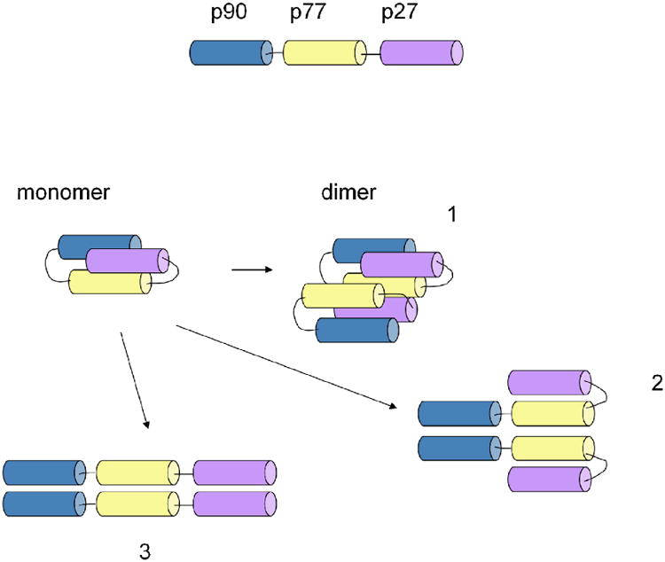 Fig.2