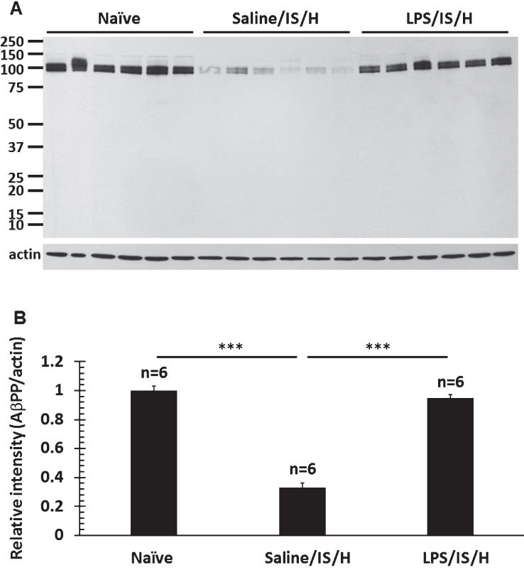 Fig.8