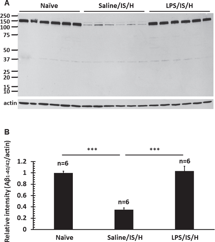 Fig.10