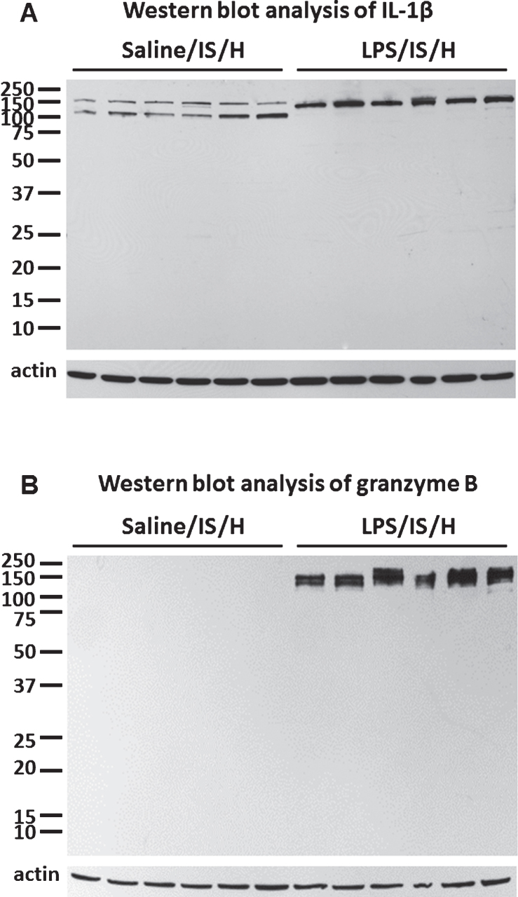 Fig.2