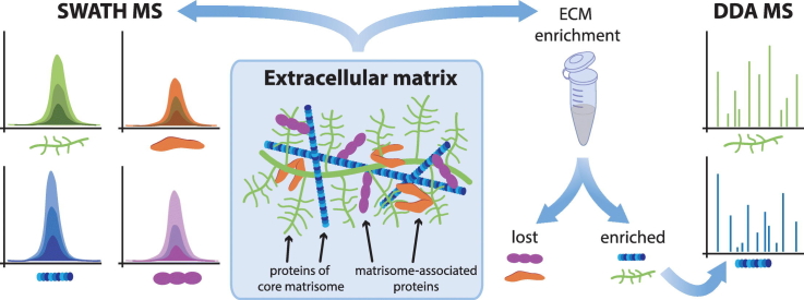 Unlabelled Image