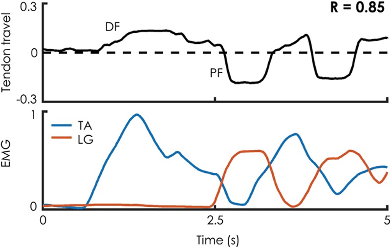 Fig. 7.