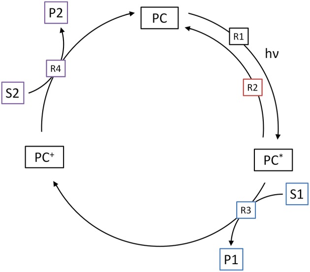 Figure 8