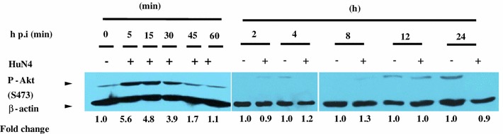 Fig. 2